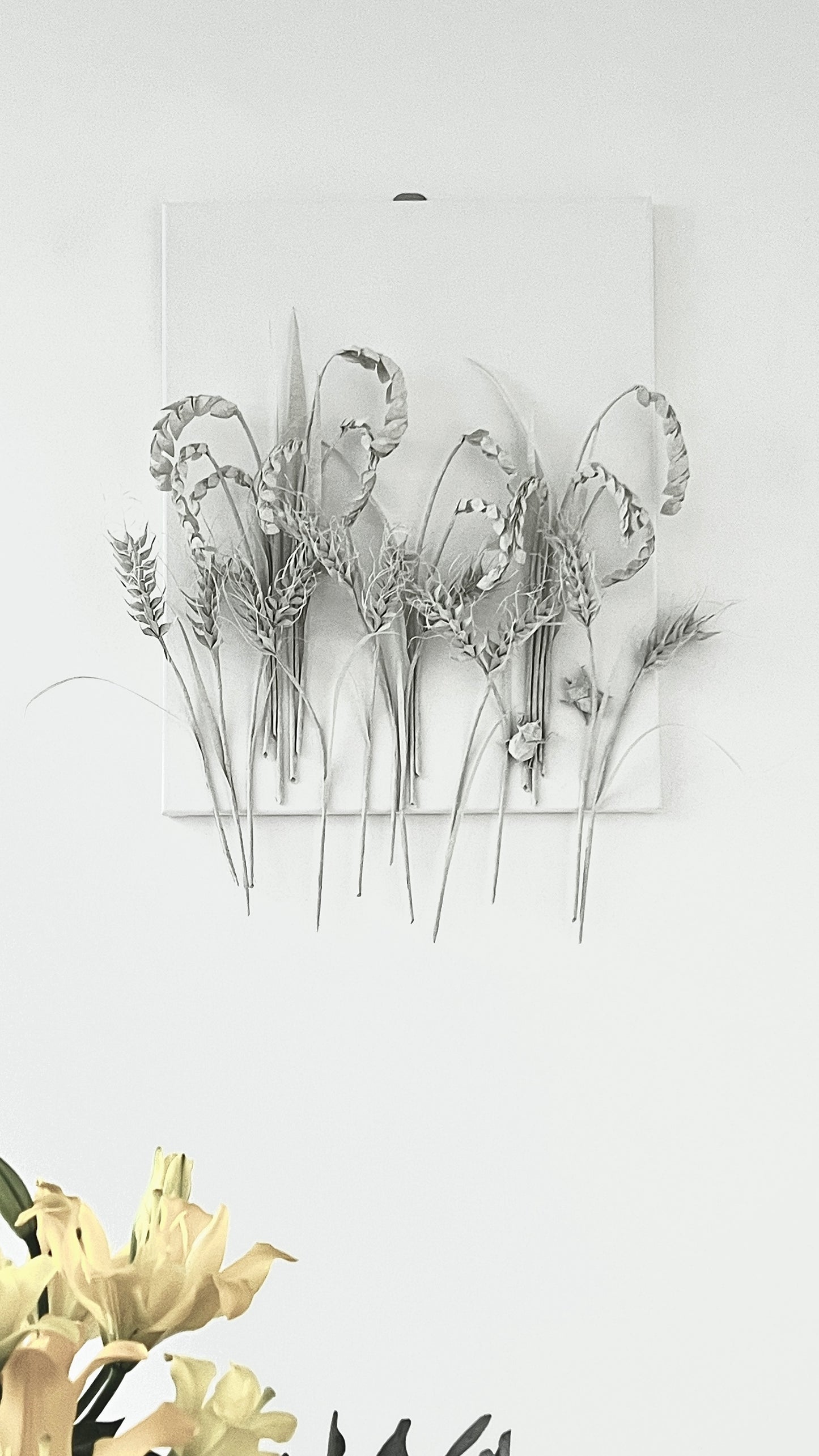 Rice and Wheat . Harvest of Will