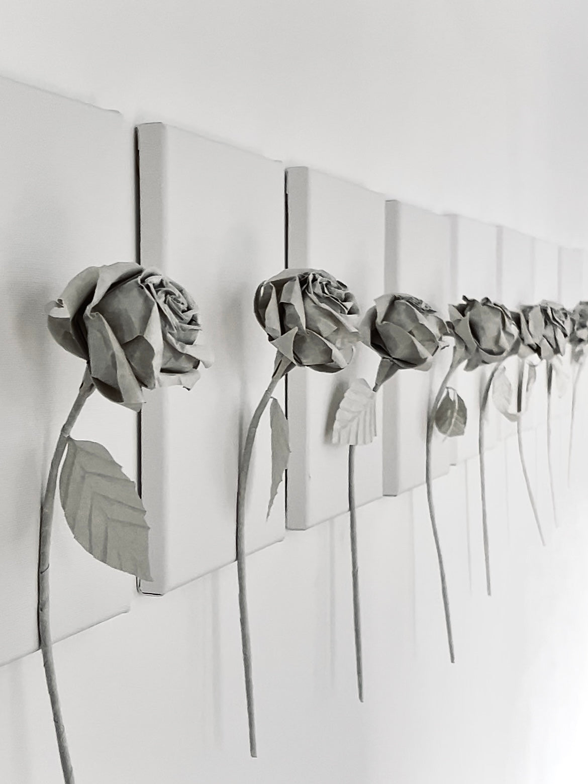 Roses . Joy and Sorrow in You