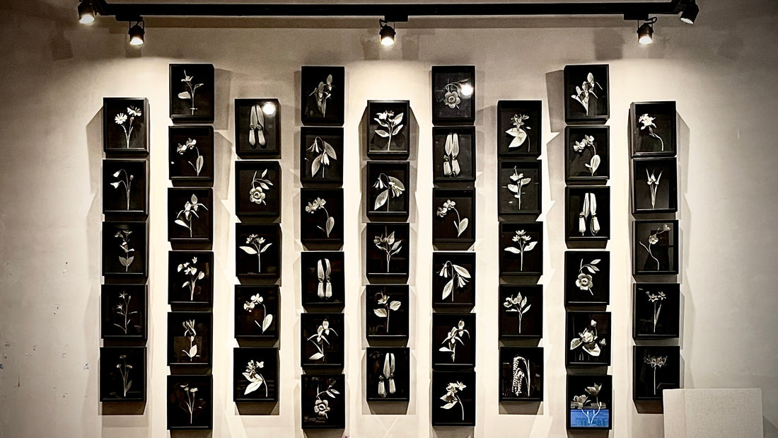 Gardens of Character — Aloy at The Art Attic, Kota Kinabalu