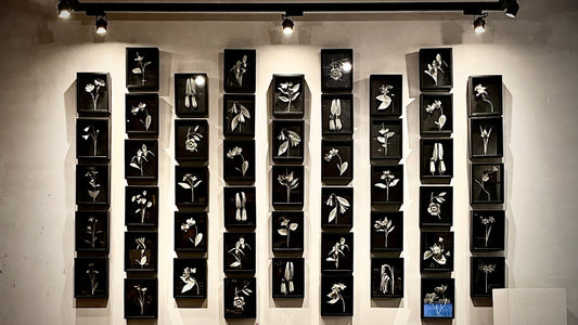 Gardens of Character — Aloy at The Art Attic, Kota Kinabalu