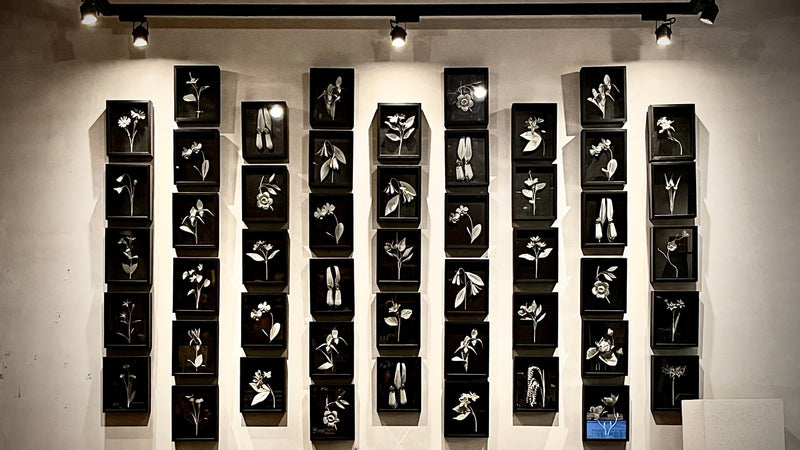 Gardens of Character — Aloy at The Art Attic, Kota Kinabalu