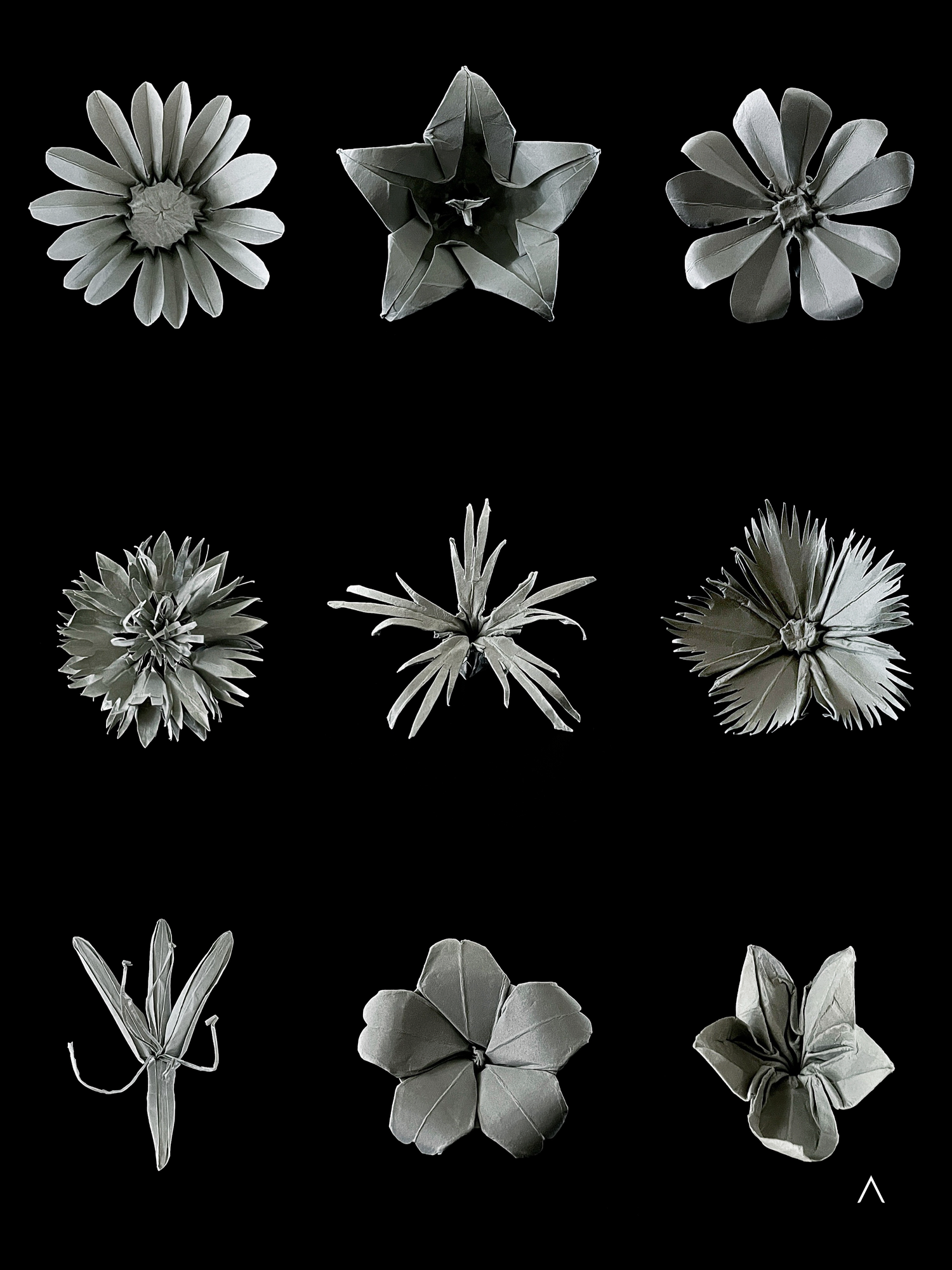 British Greenery 英伦绿意