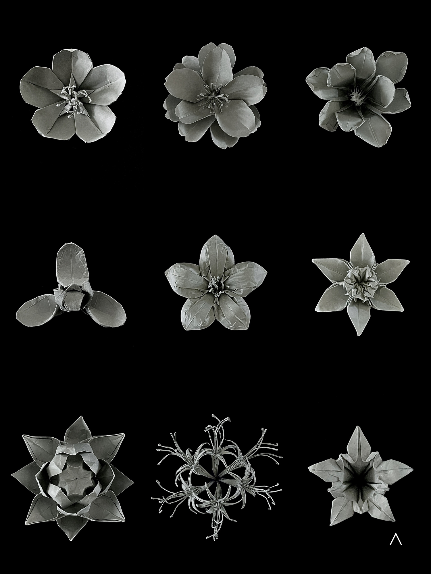 Eastern Bloom 东风花开