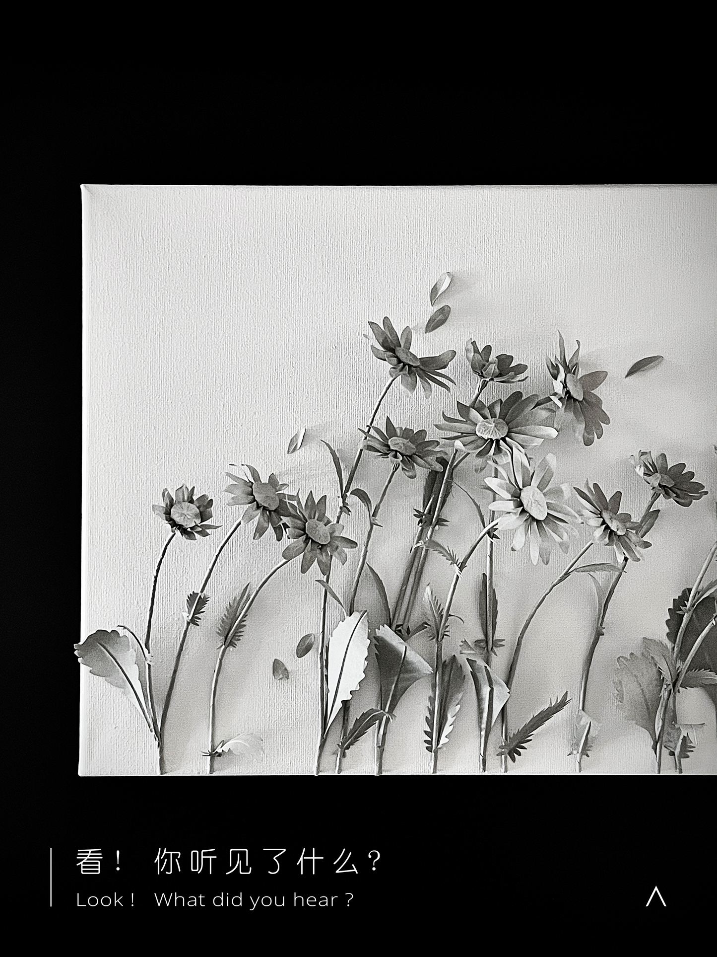 The Sound of the Oxeye Daisy Field
