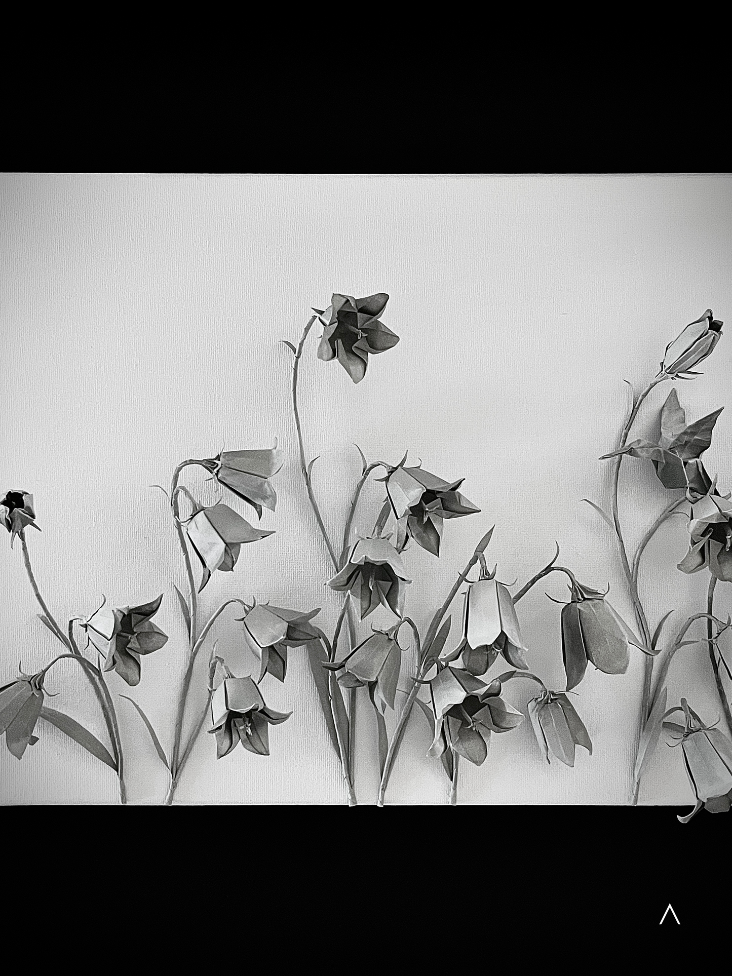 The Sound of the Harebell Field