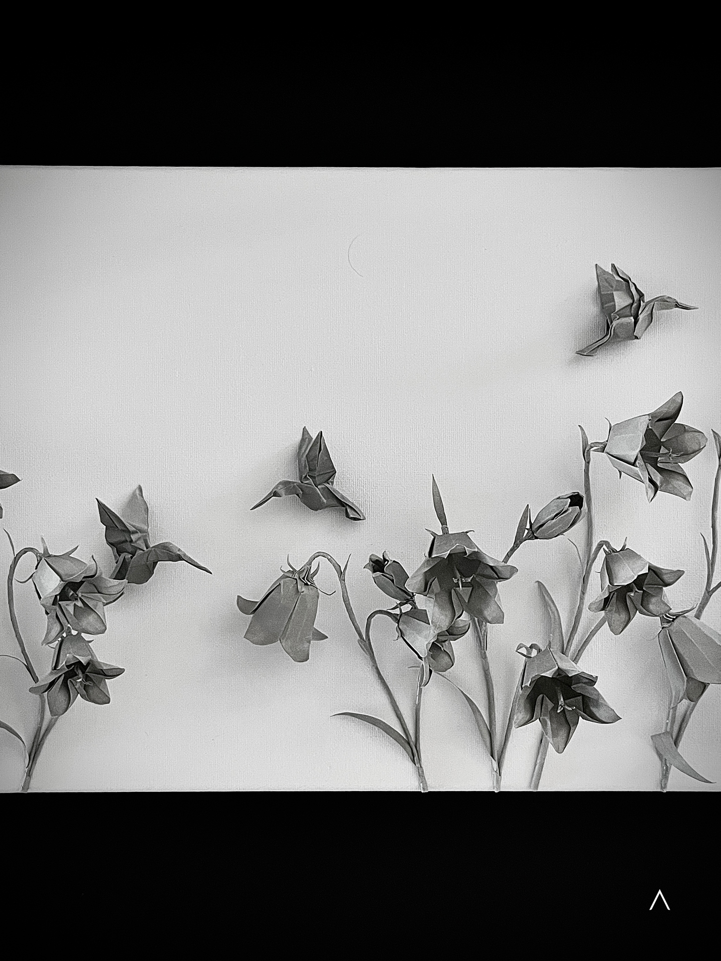 The Sound of the Harebell Field