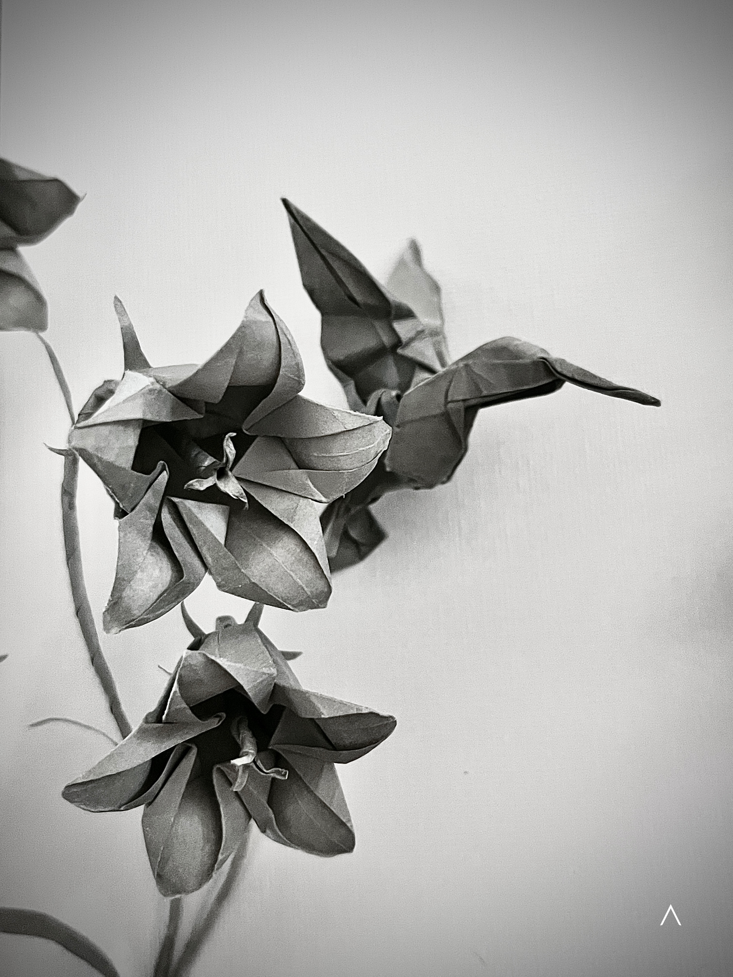 The Sound of the Harebell Field