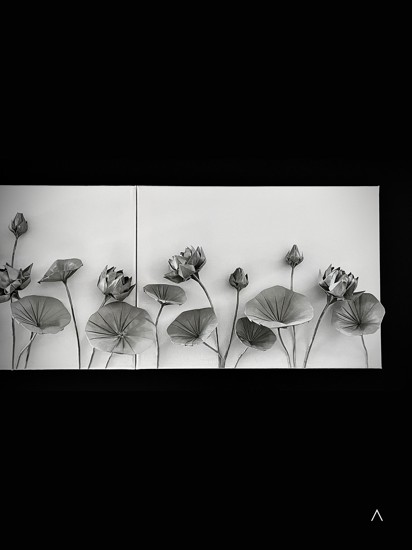 The Sound of the Lotus Pond