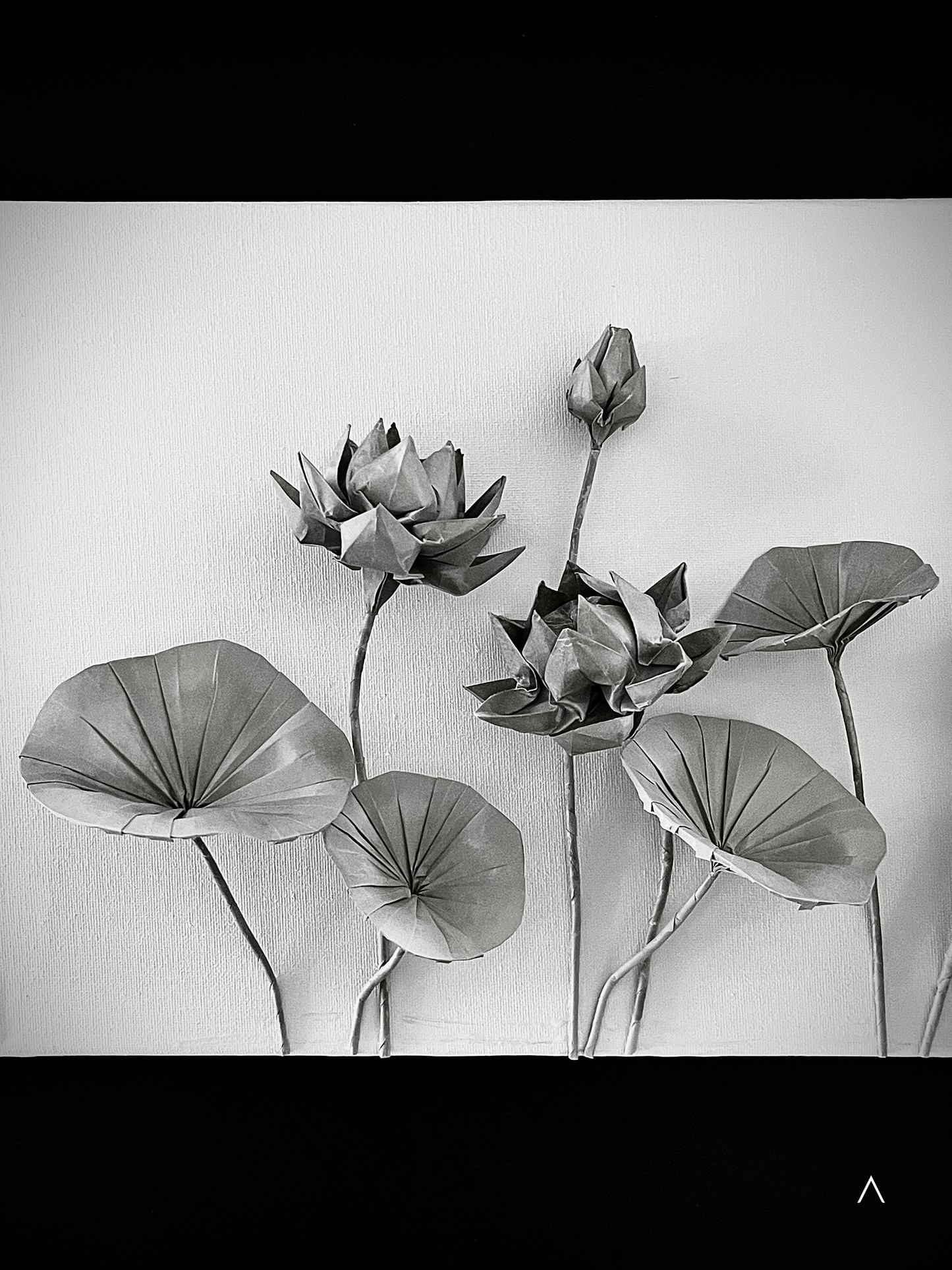 The Sound of the Lotus Pond