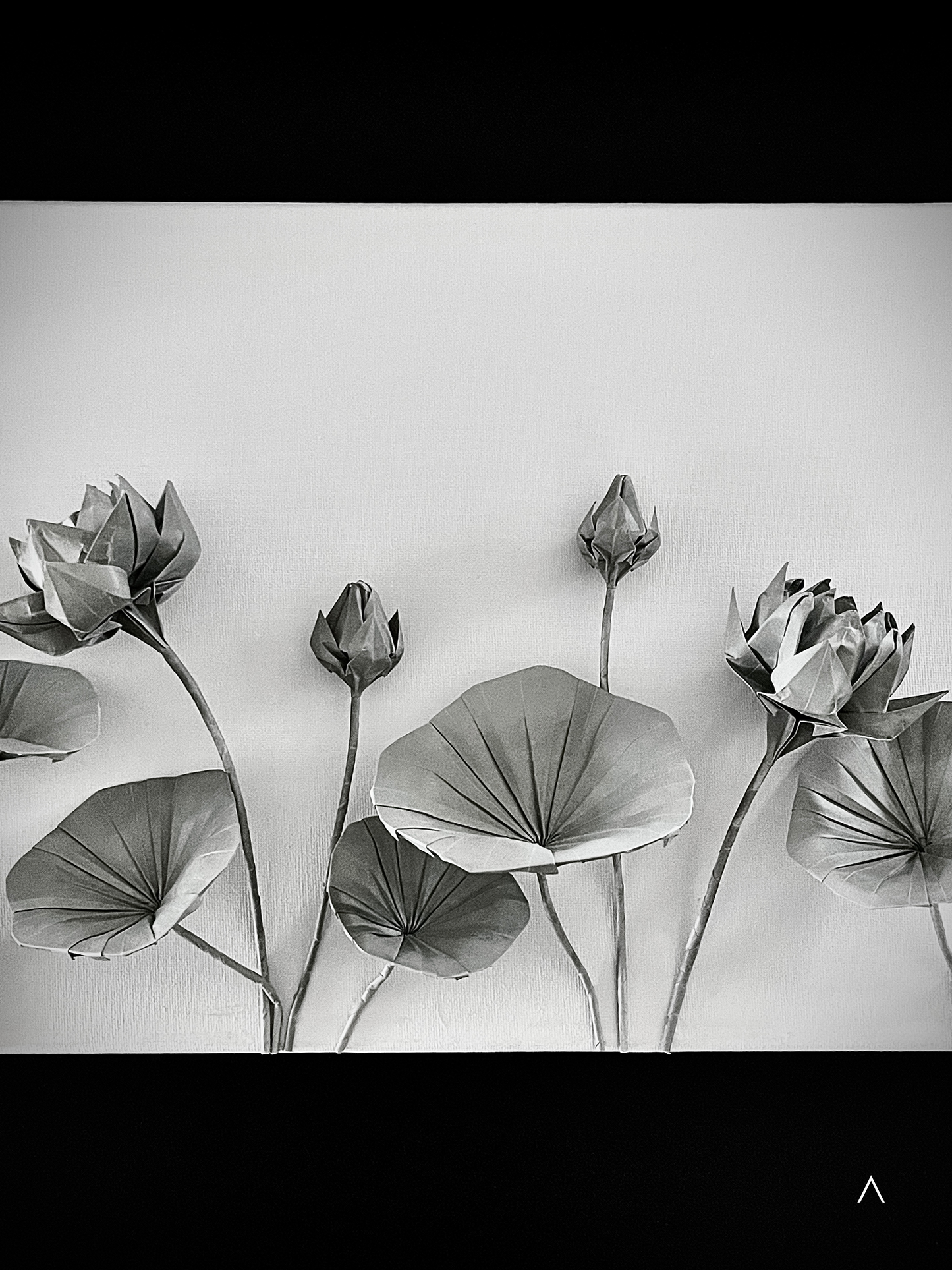 The Sound of the Lotus Pond