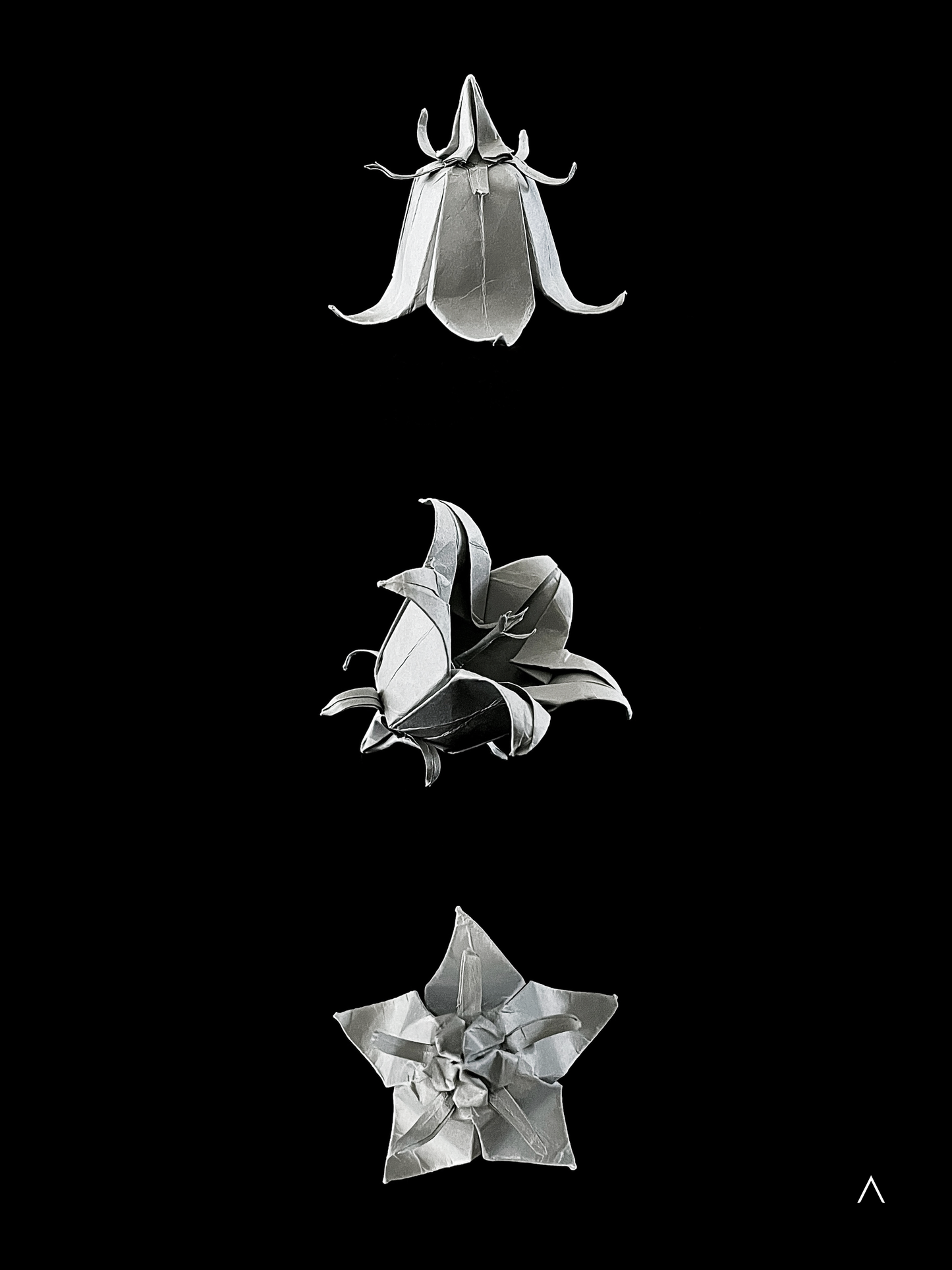 Harebell 圆叶风铃草