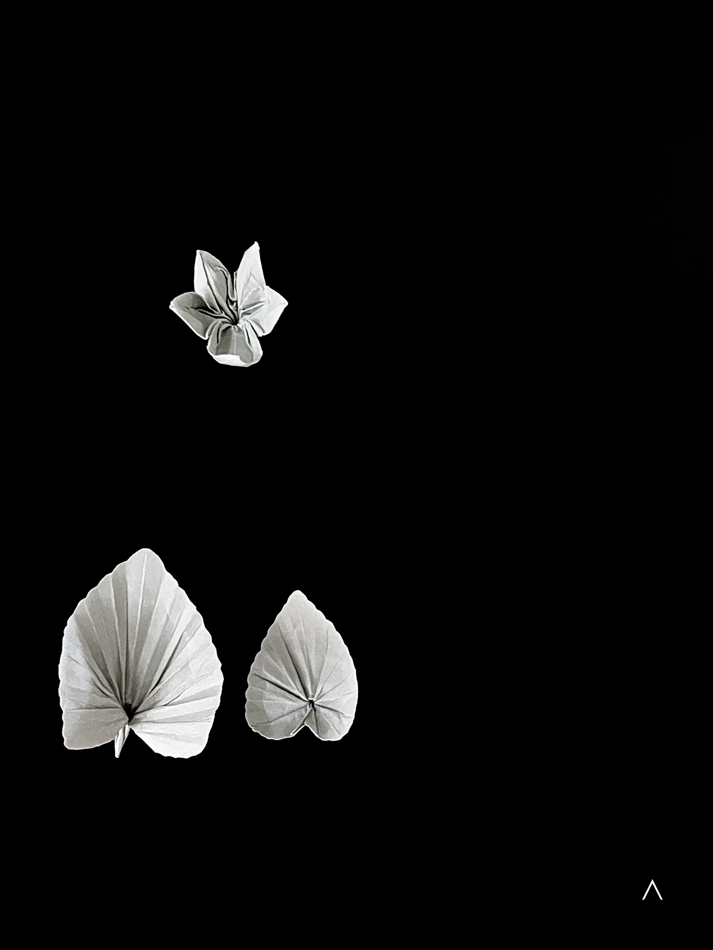 Common Dog-violet 里文堇菜