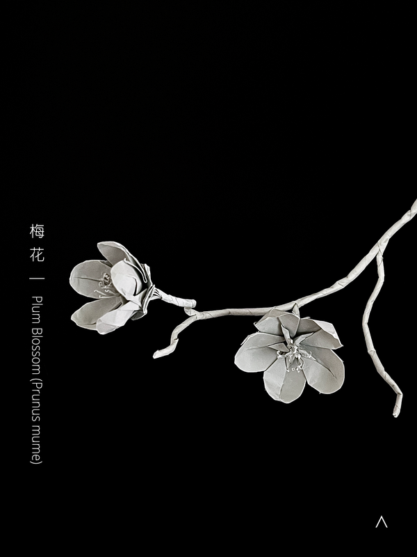 Plum Blossom 梅花
