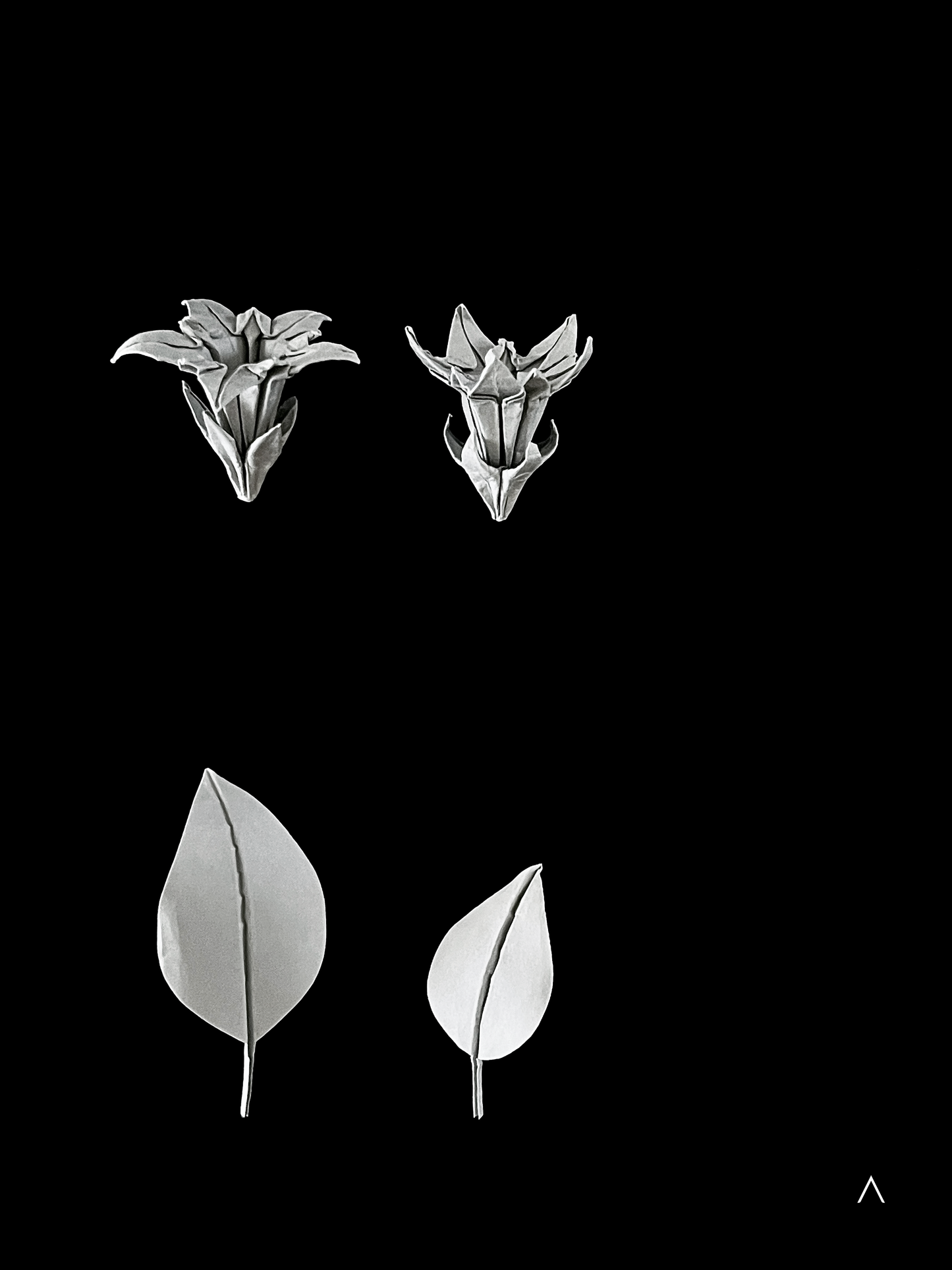 Zollinger Gentian 笔龙胆