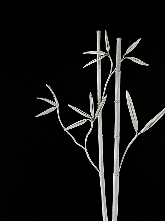 Bamboo 竹子