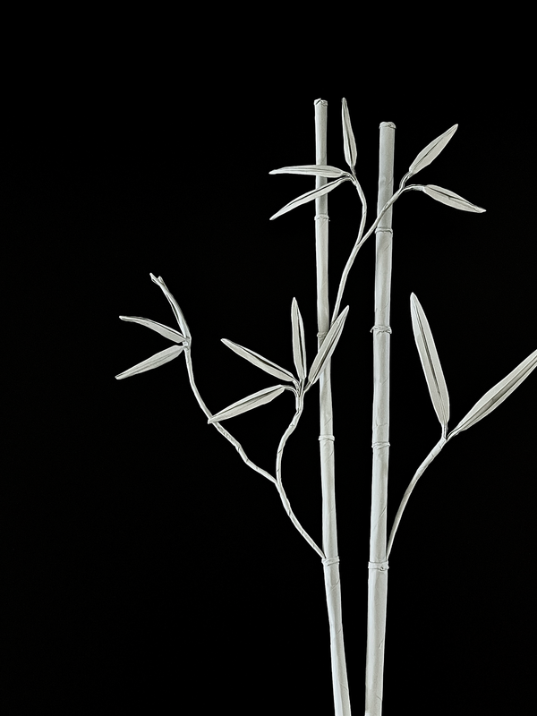 Bamboo 竹子