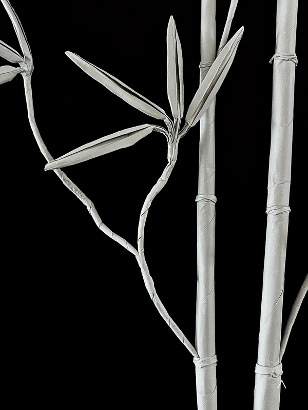Bamboo 竹子