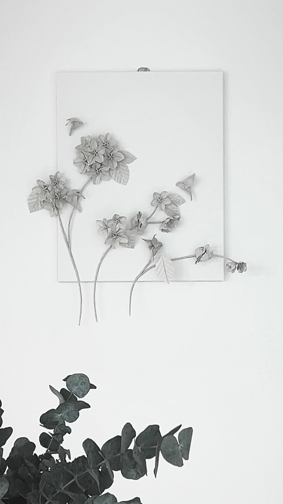 Blossoms . Fleeting Beauty of Hope