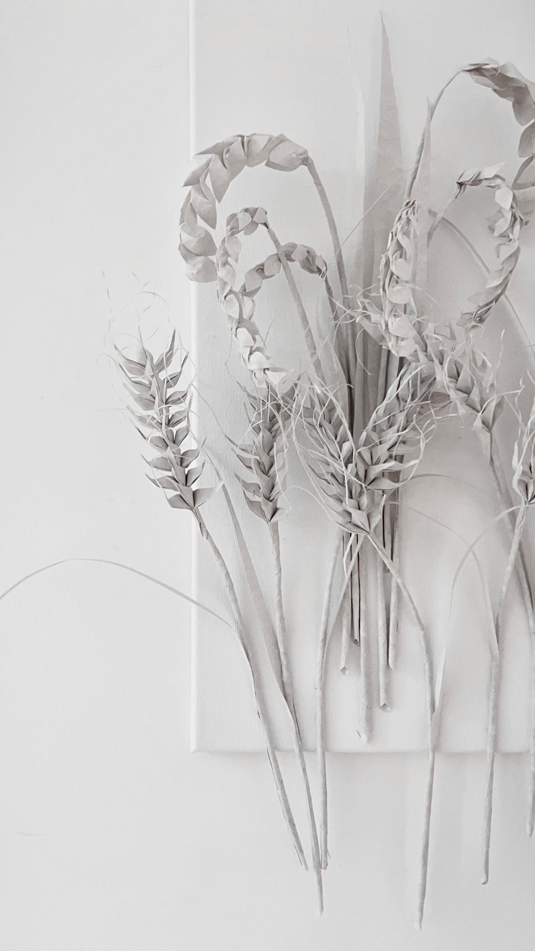 Rice and Wheat . Harvest of Will