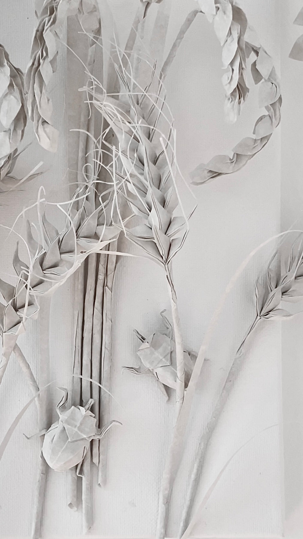 Rice and Wheat . Harvest of Will