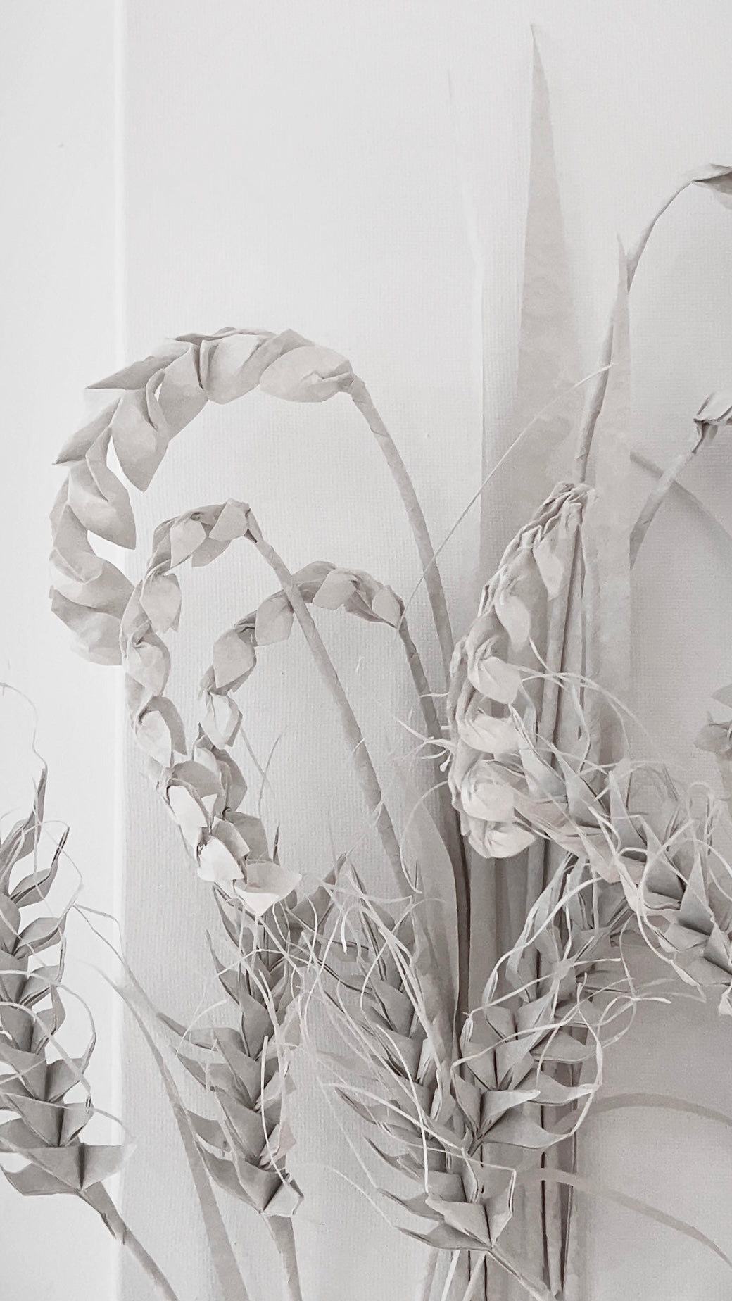 Rice and Wheat . Harvest of Will