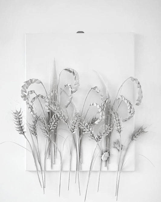 Rice and Wheat . Harvest of Will