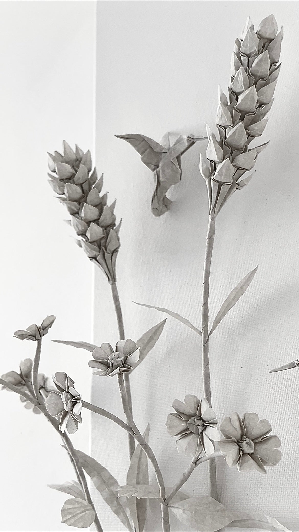 Meadow . Dance of Freedom