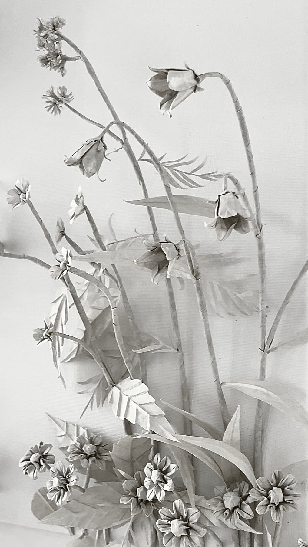 Meadow . Dance of Freedom