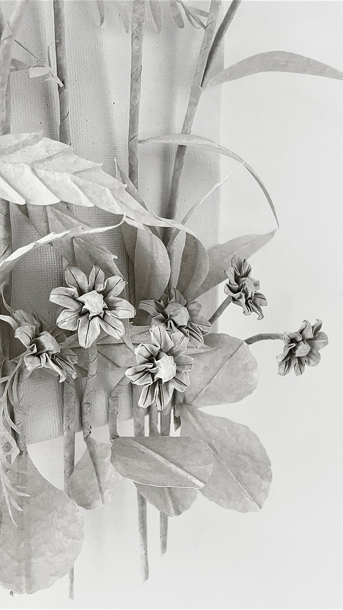 Meadow . Dance of Freedom