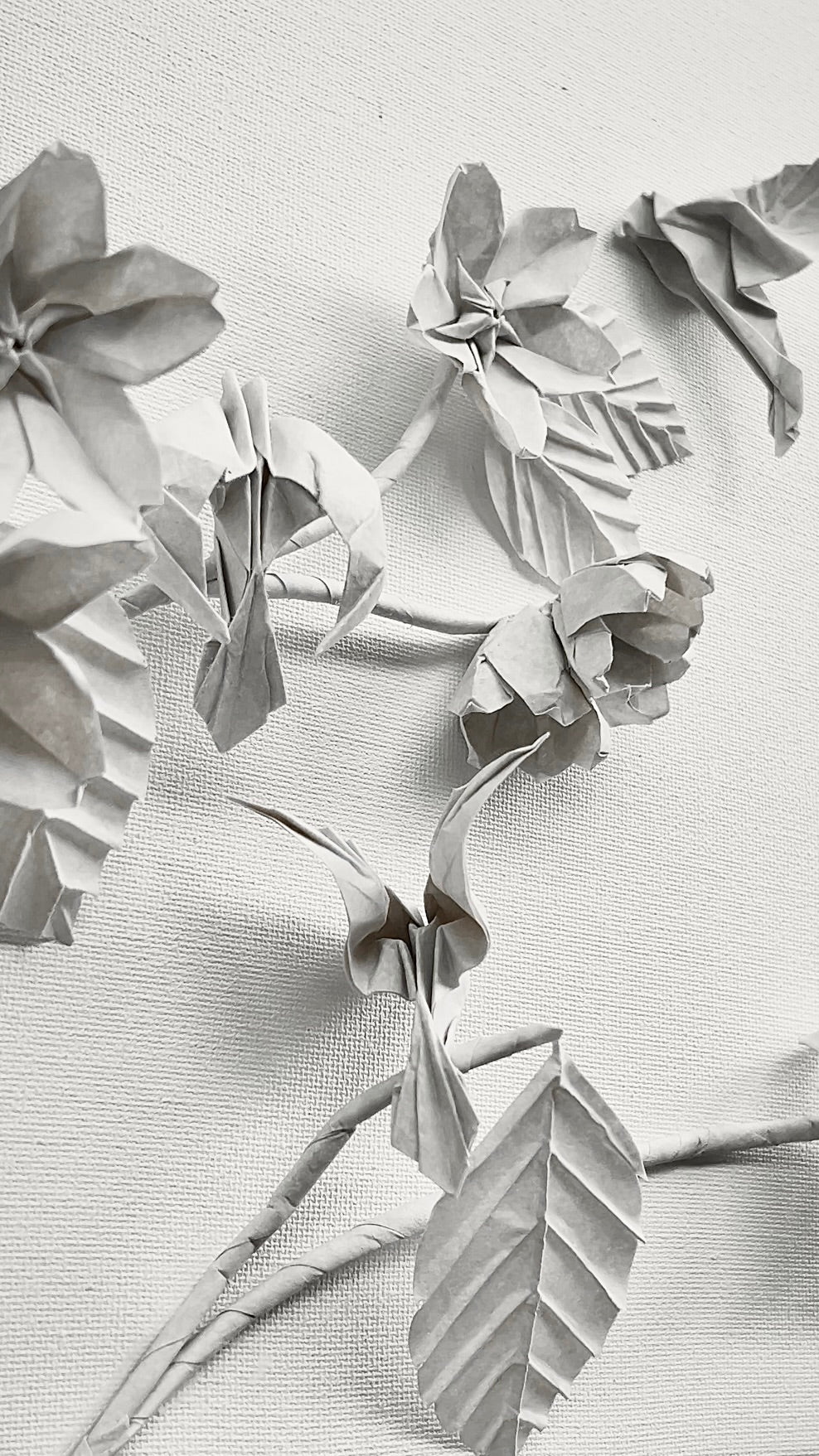 Blossoms . Fleeting Beauty of Hope