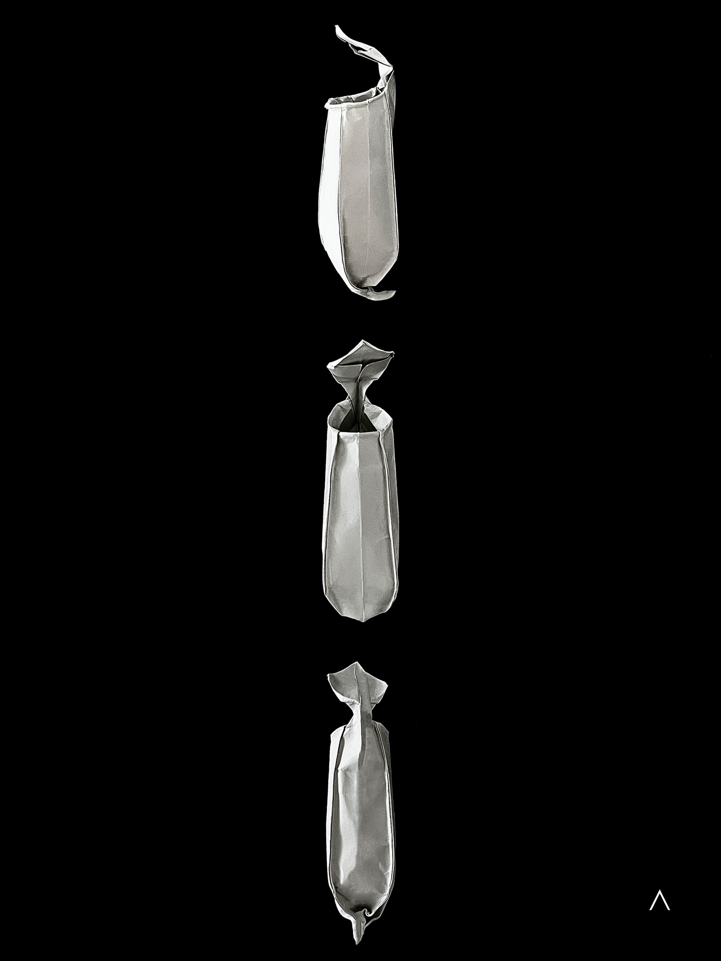 Pitcher Plant 猪笼草