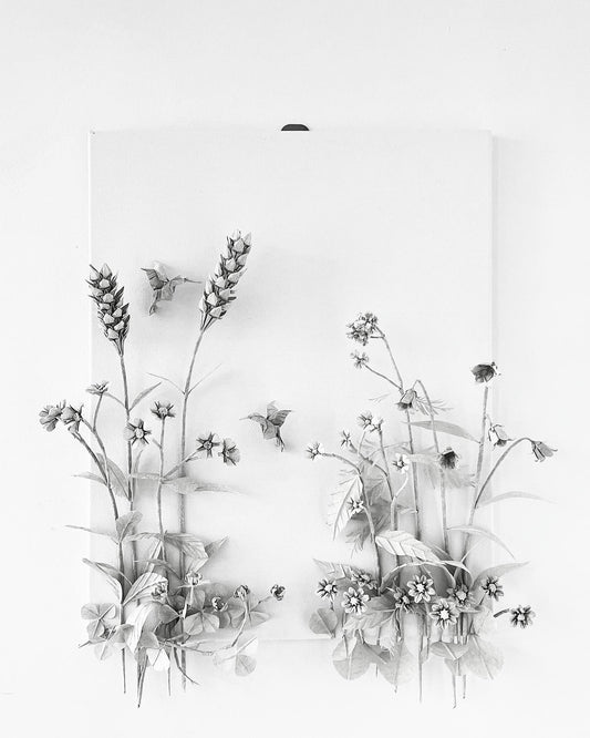 Meadow . Dance of Freedom