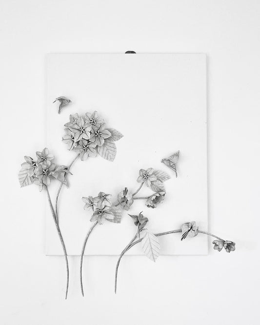 Blossoms . Fleeting Beauty of Hope